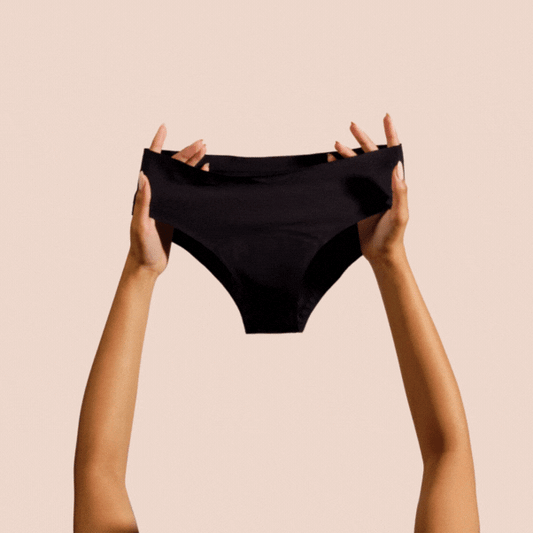 Absorbent Reusable Periods Panty
